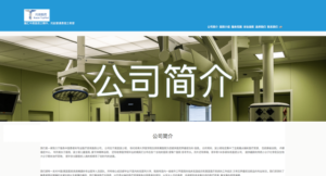 Chinese English WordPress Website