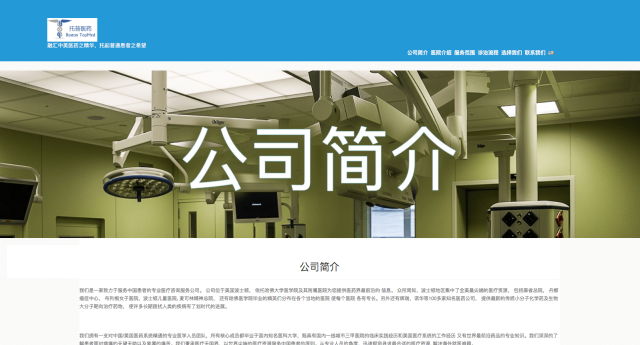 Multi Language WordPress Website