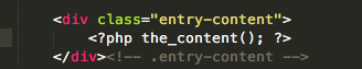 WordPress the entry function