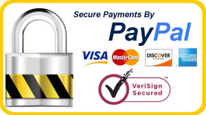 secure checkou with paypal