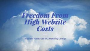 freedome from high cost website design