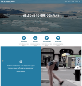 $99 company website